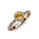 4 - Allene Signature Citrine and Diamond Halo Engagement Ring 