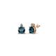 1 - Viera Blue and White Diamond Two Stone Stud Earrings 
