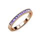 3 - Ronia Tanzanite 12 Stone Wedding Band 