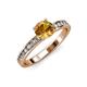 3 - Salana Classic Citrine and Diamond Engagement Ring 