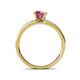 4 - Salana Classic Rhodolite Garnet and Diamond Engagement Ring 