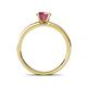 4 - Salana Classic Rhodolite Garnet and Diamond Engagement Ring 