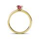 4 - Salana Classic Rhodolite Garnet and Diamond Engagement Ring 