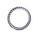 4 - Joyce 2.30 mm Iolite Eternity Band 