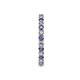 6 - Joyce 2.30 mm Iolite and Diamond Eternity Band 