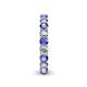 5 - Lucida 3.40 mm Diamond and Tanzanite Eternity Band 