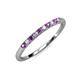 3 - Emlynn 2.00 mm Amethyst and Diamond 10 Stone Wedding Band 