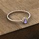 3 - Paw Bold Round Tanzanite and Diamond Promise Ring 