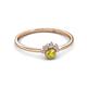 3 - Paw Bold Round Yellow and White Diamond Promise Ring 