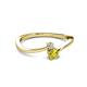2 - Lucie 4.10 mm Bold Round Yellow and White Diamond 2 Stone Promise Ring 