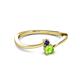 2 - Lucie 4.10 mm Bold Round Blue Sapphire and Peridot 2 Stone Promise Ring 
