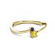 2 - Lucie 4.10 mm Bold Round Blue and Yellow Sapphire 2 Stone Promise Ring 