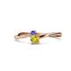 1 - Lucie 4.10 mm Bold Round Tanzanite and Yellow Diamond 2 Stone Promise Ring 