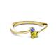 2 - Lucie 4.10 mm Bold Round Tanzanite and Yellow Diamond 2 Stone Promise Ring 