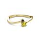 2 - Lucie 4.10 mm Bold Round Black and Yellow Diamond 2 Stone Promise Ring 