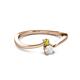 2 - Lucie 4.10 mm Bold Round Yellow Diamond and White Sapphire 2 Stone Promise Ring 