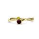 1 - Lucie 4.10 mm Bold Round Yellow Diamond and Red Garnet 2 Stone Promise Ring 
