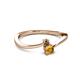 2 - Lucie 4.10 mm Bold Round Smoky Quartz and Citrine 2 Stone Promise Ring 