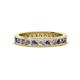 1 - Celina 2.40 mm Round Iolite and Lab Grown Diamond Eternity Band 