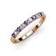 3 - Emlynn 2.70 mm Iolite and Lab Grown Diamond 10 Stone Wedding Band 
