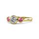1 - Avrit Rhodolite Garnet and Lab Grown Diamond Three Stone Engagement Ring 