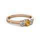2 - Irina Citrine and Lab Grown Diamond Three Stone Engagement Ring 