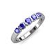 1 - Roena 0.76 ctw Tanzanite Round (3.80 mm) & (3.30 mm) 5 Stone Wedding Band 