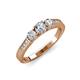 3 - Ayaka Diamond Three Stone with Side Stone Ring 
