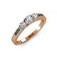 3 - Ayaka Diamond Three Stone with Side Blue Diamond Ring 