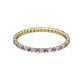 2 - Joyce 1.50 mm Iolite and Diamond Eternity Band 