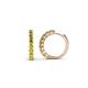 1 - Raya Round Yellow Diamond Hoop Earrings 