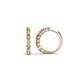 1 - Raya Round Citrine and Lab Grown Diamond Hoop Earrings 
