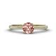 1 - Serina Classic Round Morganite and Diamond 3 Row Micro Pave Shank Engagement Ring 