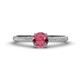 1 - Serina Classic Round Rhodolite Garnet and Diamond 3 Row Micro Pave Shank Engagement Ring 