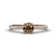 1 - Serina Classic Round Smoky Quartz and Diamond 3 Row Micro Pave Shank Engagement Ring 