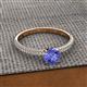 2 - Serina Classic Round Tanzanite and Diamond 3 Row Micro Pave Shank Engagement Ring 