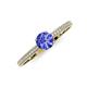 3 - Serina Classic Round Tanzanite and Diamond 3 Row Micro Pave Shank Engagement Ring 