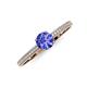 3 - Serina Classic Round Tanzanite and Lab Grown Diamond 3 Row Micro Pave Shank Engagement Ring 