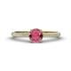 1 - Serina Classic Round Rhodolite Garnet and Lab Grown Diamond 3 Row Micro Pave Shank Engagement Ring 