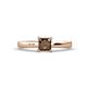 1 - Annora Princess Cut Smoky Quartz Solitaire Engagement Ring 