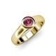 4 - Enola Rhodolite Garnet Solitaire Engagement Ring 