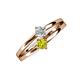 3 - Ria 4.00 mm Round Yellow Diamond and Lab Grown Diamond Split Shank 2 Stone Engagement Ring 