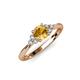 4 - Eve Signature 6.50 mm Citrine and Diamond Engagement Ring 