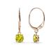 1 - Grania Yellow Diamond (5mm) Solitaire Dangling Earrings 