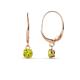 1 - Grania Yellow Diamond (4mm) Solitaire Dangling Earrings 