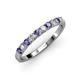 3 - Emlynn 2.70 mm Iolite and Diamond 10 Stone Wedding Band 