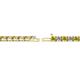 2 - Cliona 3.00 mm Yellow Diamond and Diamond Eternity Tennis Bracelet 