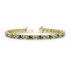 1 - Cliona 4.10 mm Diamond and Lab Created Alexandrite Eternity Tennis Bracelet 