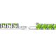 3 - Leslie 4.00 mm Peridot Eternity Tennis Bracelet 