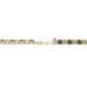 2 - Leslie 2.70 mm Smoky Quartz and Diamond Eternity Tennis Bracelet 